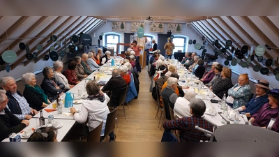 Seniorenfasching im Centrum Bavaria Bohemia.  (Bild: David Veres)