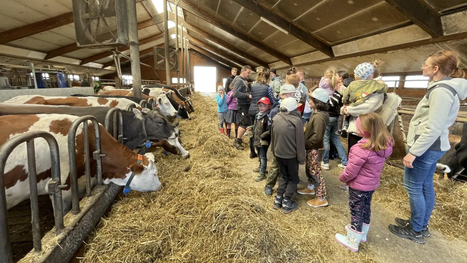 Im Stall der Familie Pösl in Saubersrieth  (Bild: Julia Gatz)