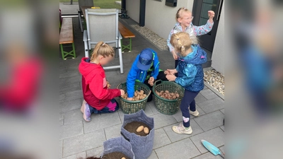 Die Kinder entdecken die Kartoffelsorte Goldmarie und Laura (Bild: Christina Rosner)