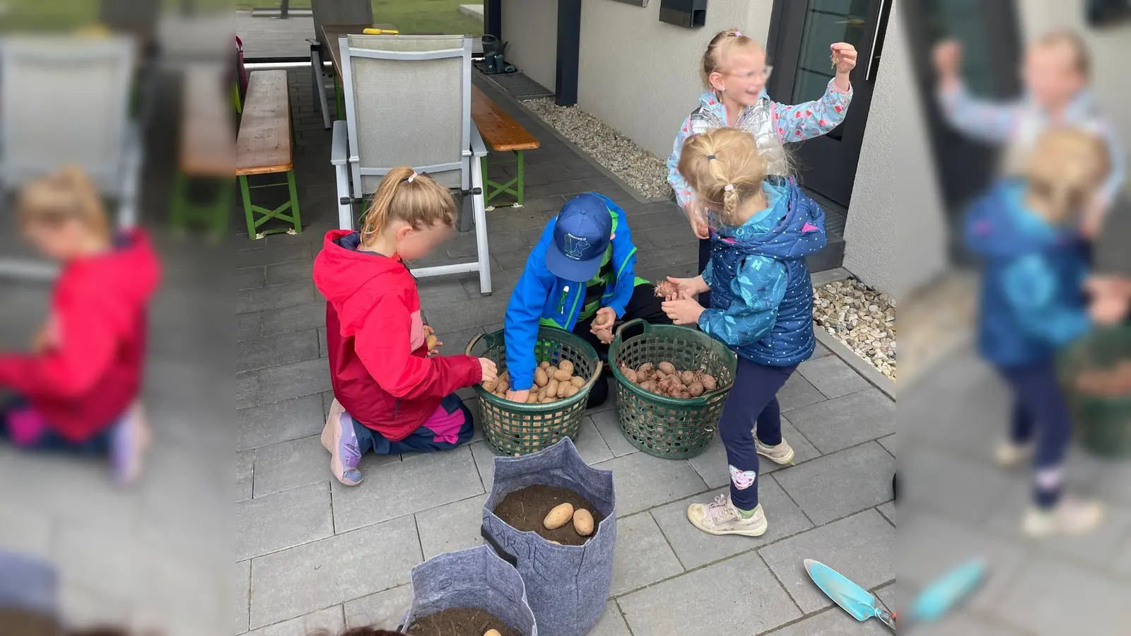 Die Kinder entdecken die Kartoffelsorte Goldmarie und Laura (Bild: Christina Rosner)