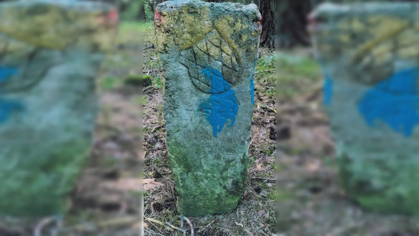 Historischer Grenzstein im Wagrainer Wald. (Bild: Manfred Lehner)