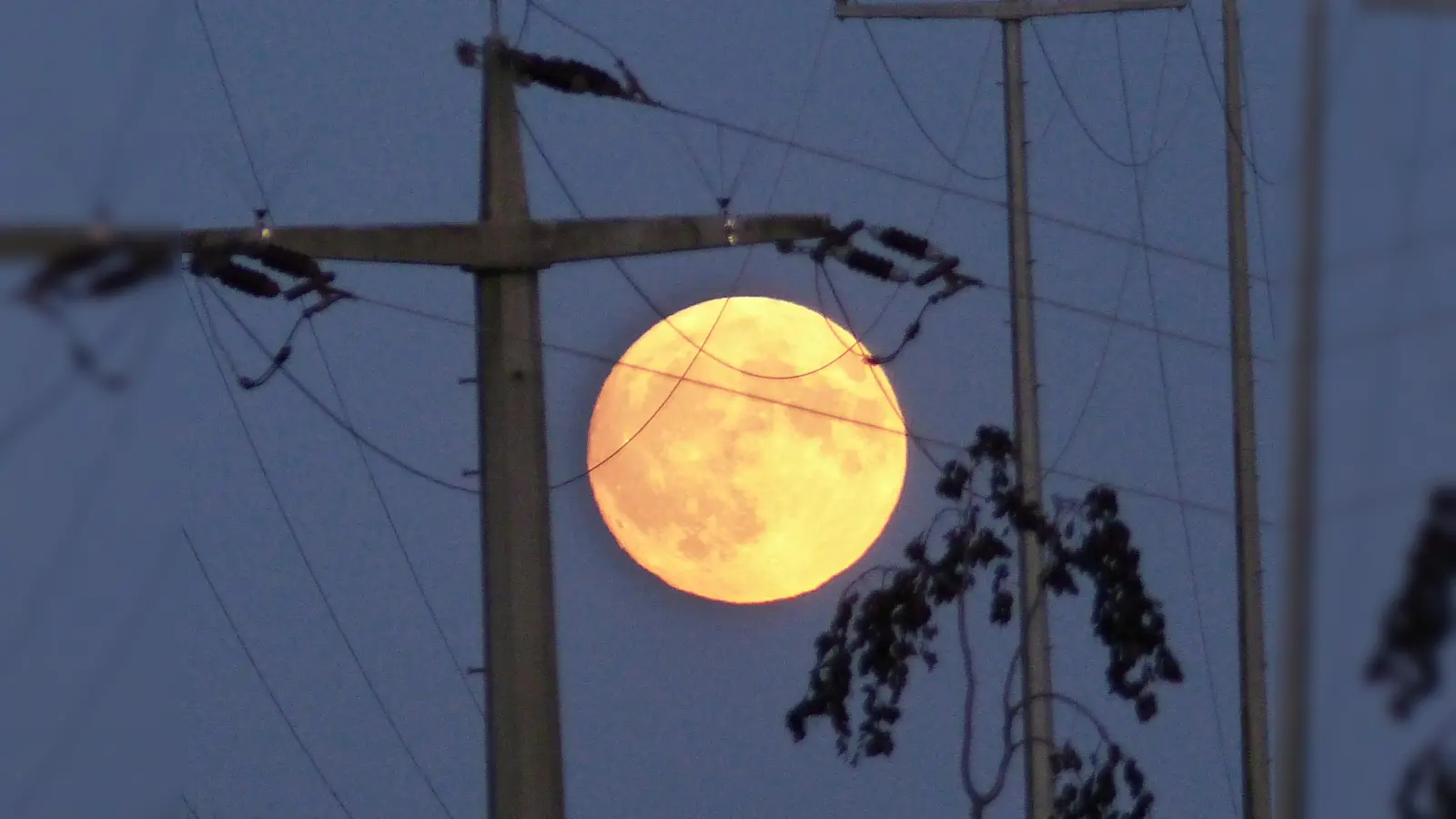 Mond scheint helle (Bild: Sieglinde Schärtl)