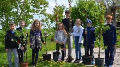 Acht Obstbäume fanden ihren Platz in den Gärten der Kommunionkinder und Konfirmanden.  (Bild: Ulrike Wagner)