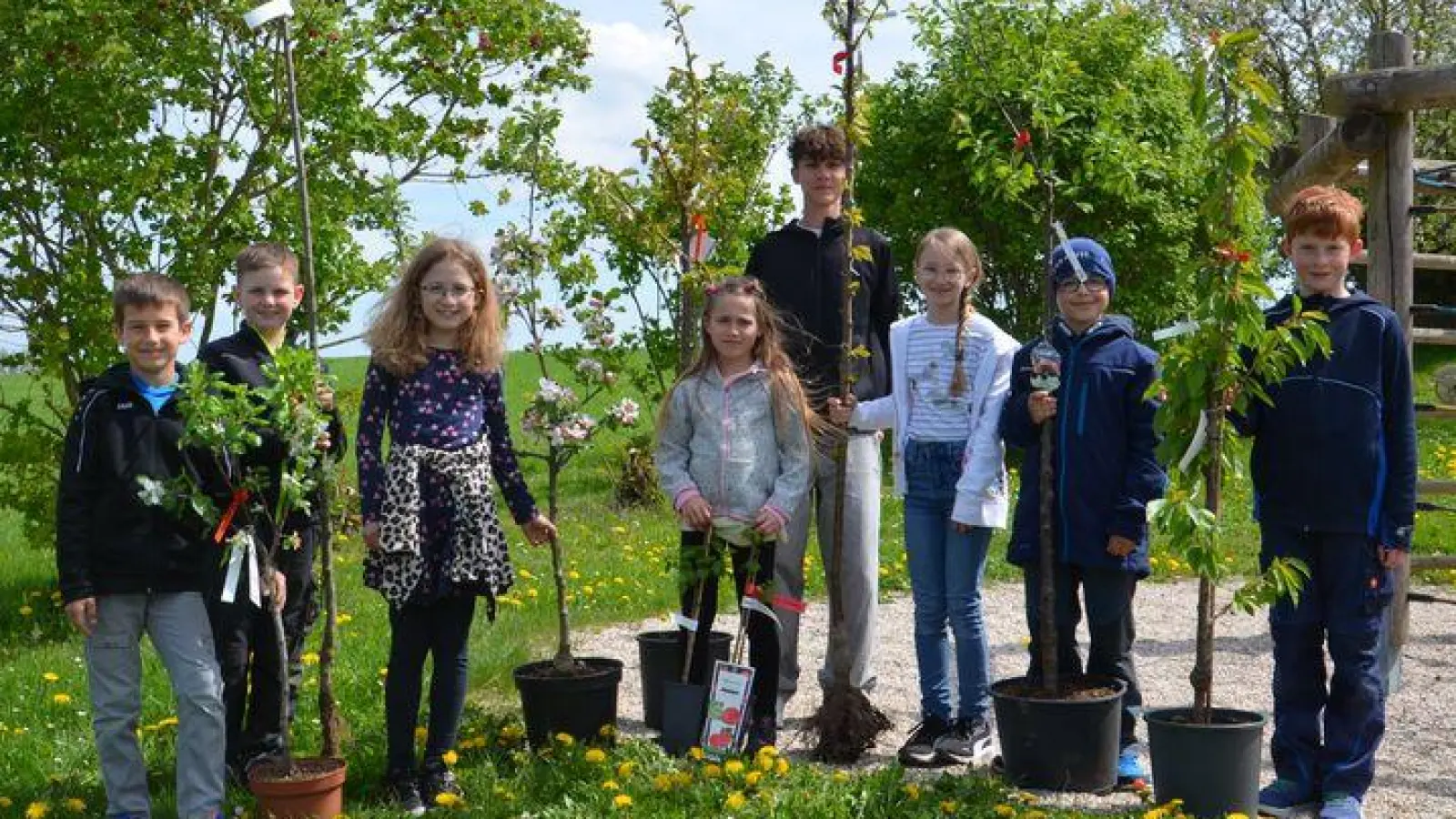 Acht Obstbäume fanden ihren Platz in den Gärten der Kommunionkinder und Konfirmanden.  (Bild: Ulrike Wagner)