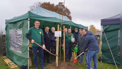  Insgesamt zwei neue Kirschbäume pflanzt der Imkerverein Waldthurn und Umgebung anlässlich des 100-jährigen Jubiläums an der Lennesriether Streuobstwiese. (Bild: Franz Völkl)
