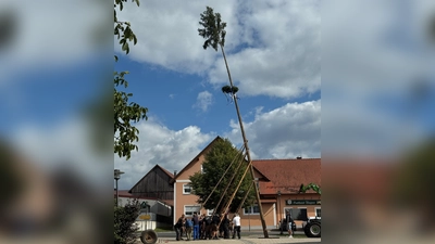 gemeinsames Baumaufstellen der Dorfbewohner in Neuzirkendorf. (Bild: Nicole Schusser-Schindler)