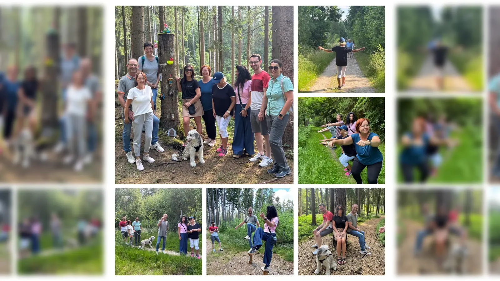 Bewegung, Begegnung und Brotzeit – FU TIR unterwegs auf dem Trimm Pfad (Bild: Claudia Kost)