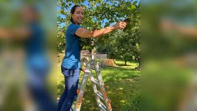 Sommerschnitt am Obstbaum mit Katharina Hage. (Bild: Katharina Hage)