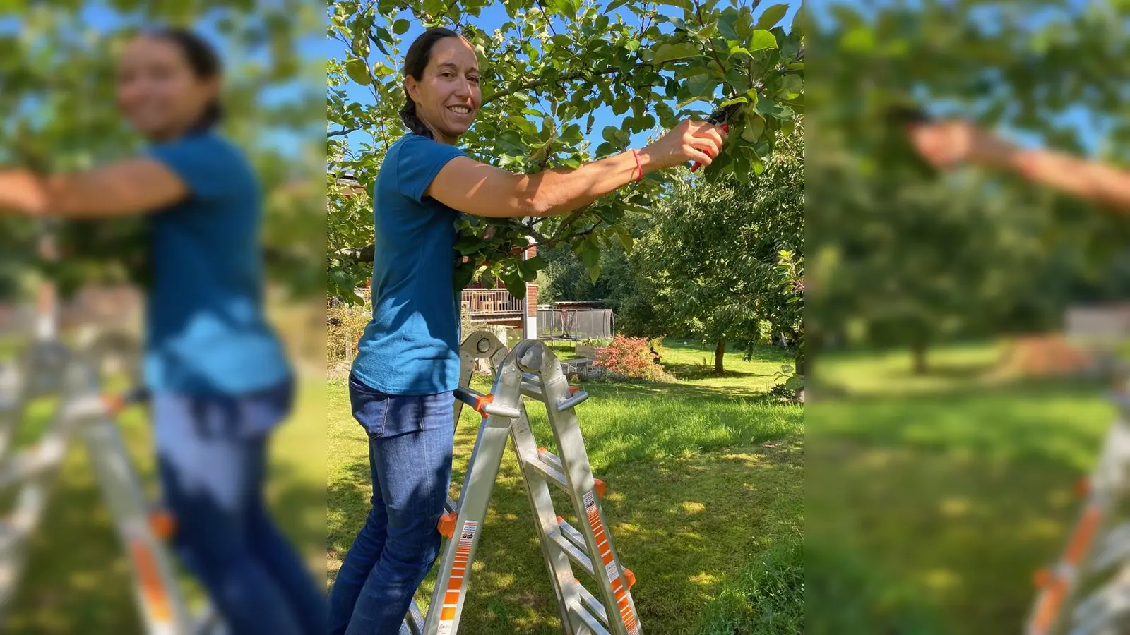 Sommerschnitt am Obstbaum mit Katharina Hage. (Bild: Katharina Hage)
