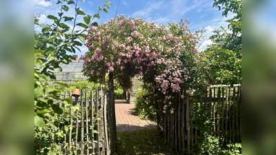 Kloster- und Naturerlebnisgarten. (Bild: Andrea Wührl)