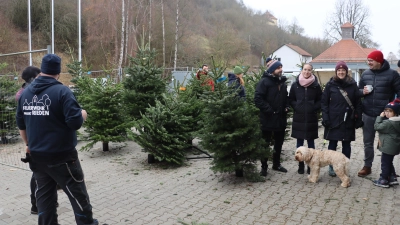 Auf dem Areal der Feuerwehr Rieden fand am zweiten Adventswochenende der Christbaumverkauf statt. (Bild: Michael Rabenhofer)
