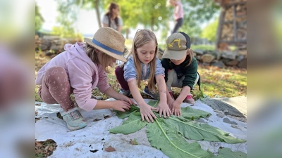 Kinder legen Borretsch-Blätter zu einer umgedrehten flachen Schale zusammen, auf die im Anschluss der Beton gegossen wird (Bild: Anna Häupler-Schönberger)