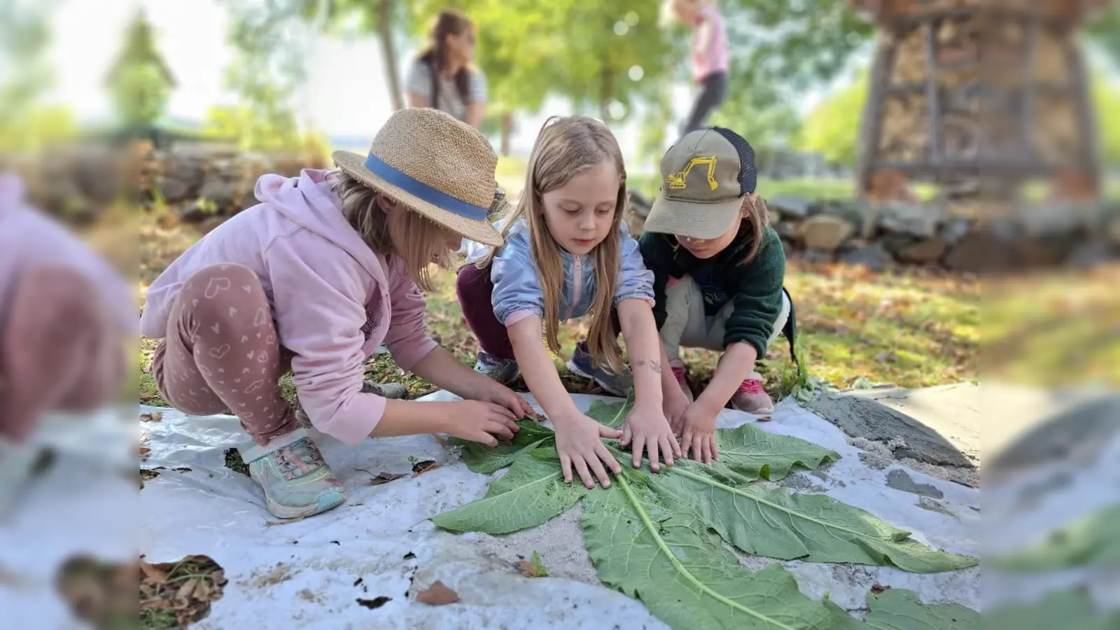Kinder legen Borretsch-Blätter zu einer umgedrehten flachen Schale zusammen, auf die im Anschluss der Beton gegossen wird (Bild: Anna Häupler-Schönberger)