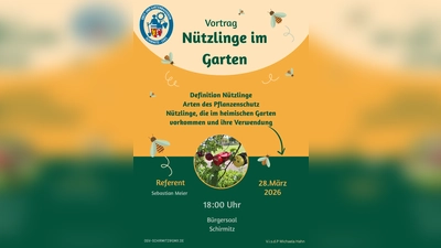 Flyer  (Bild: Micha Hahn)