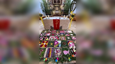 Blumenteppich im Pizzakarton. (Bild: Irene Klier )