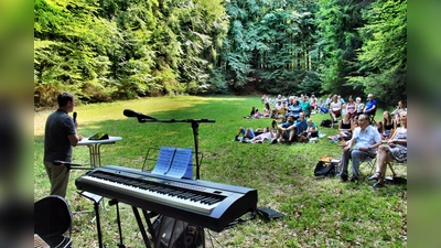 Die Hanglage der Wiese, eingerahmt vom Mischwald, dient seit rund 70 Jahren als Waldbühne für den traditionellen Gottesdienst im Freien der Landeskirchlichen Gemeinschaft Hersbruck.  (Bild: Leonhard Ehras)