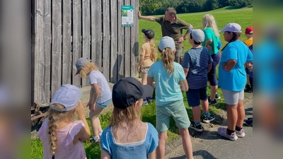 Voll Eifer bei der Sache, wenn der Förster erklärt (Bild: Leoni Wiesneth )
