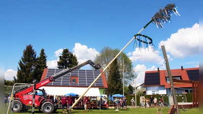 Siedlergemeinschaft Maibaum-Aufstellen. (Bild: Stephan Landgraf)