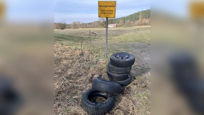 Autoreifen im Grundwasserschutzgebiet (Bild: Michael Bauer)
