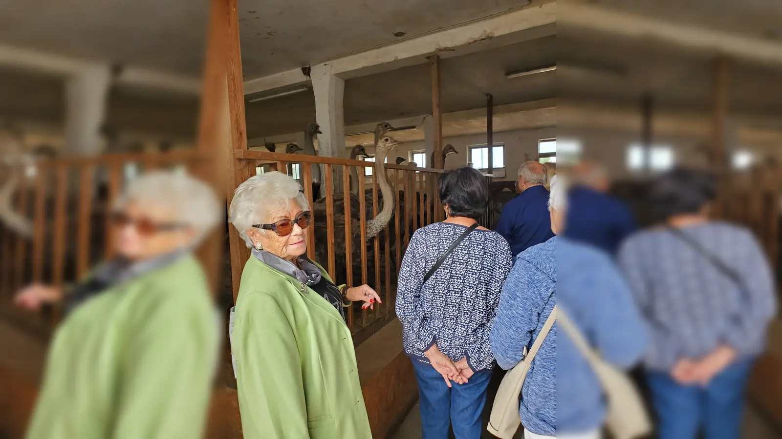 Lotte Hoffmann im Straußenstall. (Bild: Inge Zimmermann)