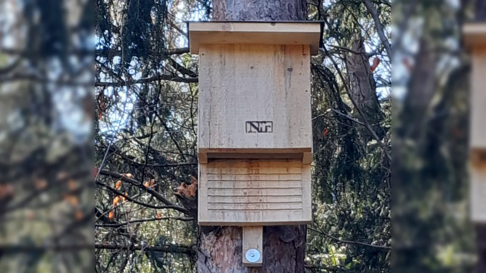 Fledermauskasten  (Bild: Xaver Flierl )