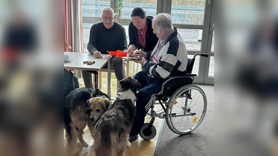 Therapiehund in Action.  (Bild: Ramona Rechner)