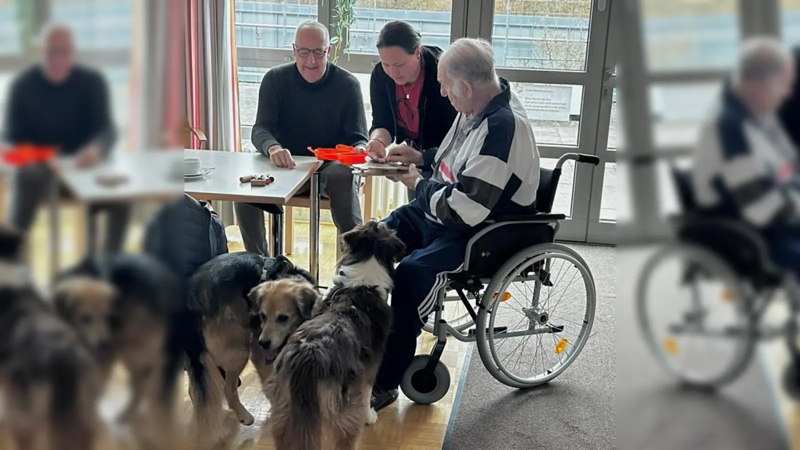 Therapiehund in Action.  (Bild: Ramona Rechner)