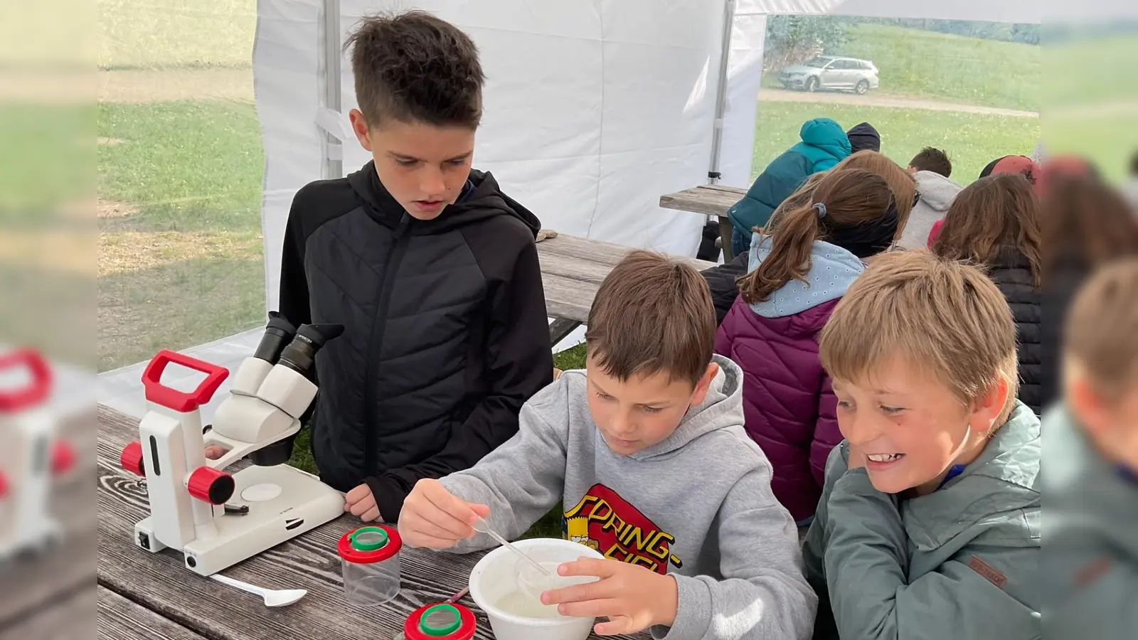 Leben in Tümpeln, Bächen und Weihern unter dem Mikroskop (Bild: Theresa Trescher)