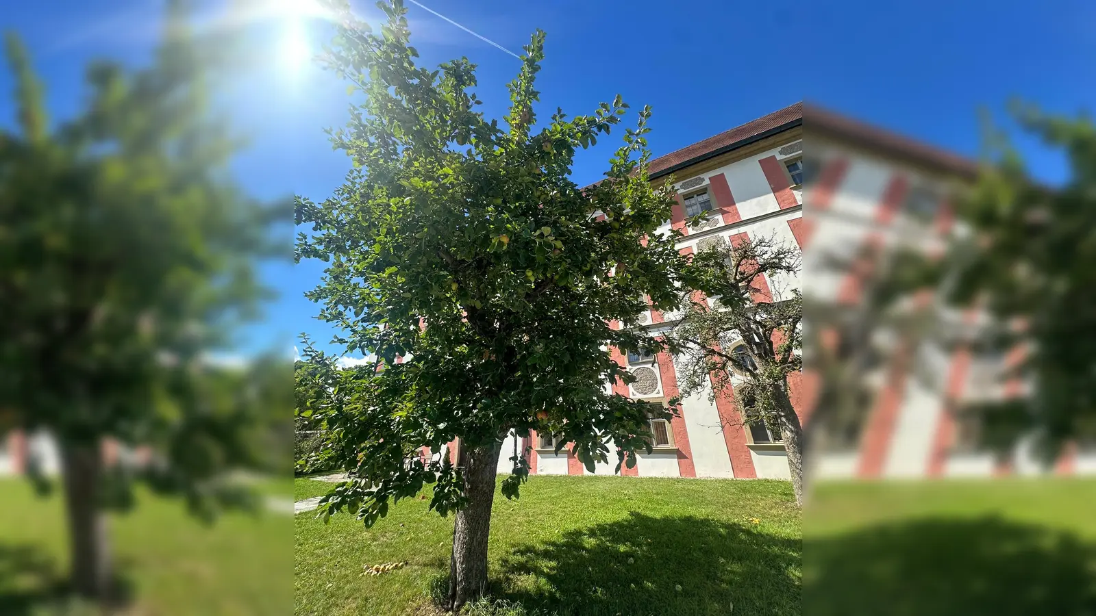 Klostergarten Speinshart (Bild: Kloster Speinshart)