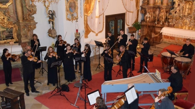 Die Sinfonietta Amberg spielt nach sieben Jahren wieder gemeinsam.  (Bild: Katharina Müllers)