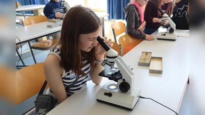 Zahlreiche Besucher versuchten sich in den verschiedenen Disziplinen der Naturwissenschaft (Bild: Doris Thammer)