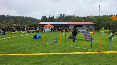 Agility Vorführung Sam mit Akela (Bild: Vanessa Kausler )