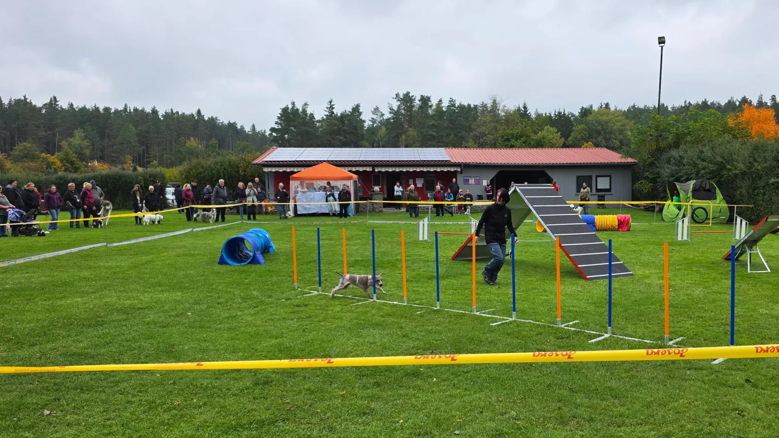 Agility Vorführung Sam mit Akela (Bild: Vanessa Kausler )