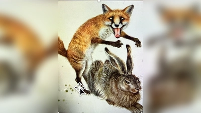 Prechtl, Hase AD (Repro: Beate Wolters)