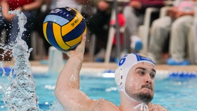 Dennis Reichert in Aktion (Bild: Robert Schmidt)