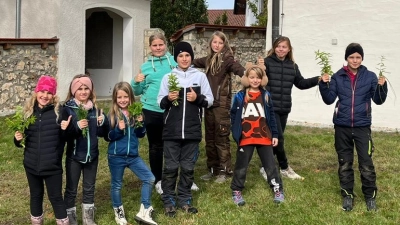 Aktion des OGV-Gunzendorf. (Bild: Ines Wagner)