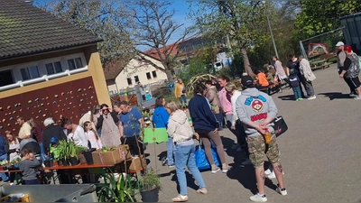 Pflanzenmarkt der Kita St. Martin Schlicht. Die Besucher begutachten das Angebot. (Bild: Monika Ertl)