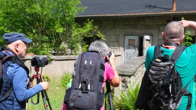 Die Ergebnisse eines Workshops des Fotoklubs machten Mut für eine Ausstellung. Bilder, die im Mai 2024 rund um den OSTi-Steinbruch entstanden, sind ab dem 4. Oktober zu sehen. (Archivbild: Bernhard Neumann)