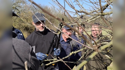 15 Mitglieder kamen zum Obstbaumschnittkurs der Neustädter Siedlergemeinschaft. Thorsten Bär (links), Mitglied in der Vorstandschaft, führte fachkundig vor, wie man einen Obstbaum richtig schneidet. (Bild: Jana Rustler)