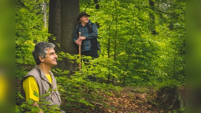 In den Wald eintauchen. (Bild: Michael Schneider)
