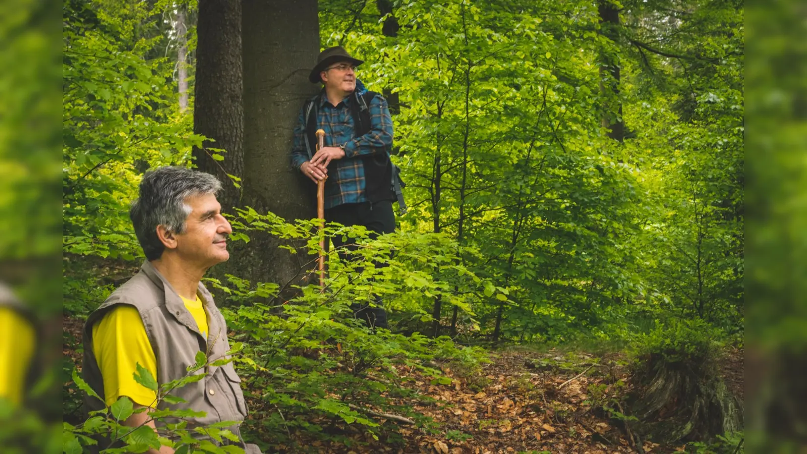 In den Wald eintauchen. (Bild: Michael Schneider)