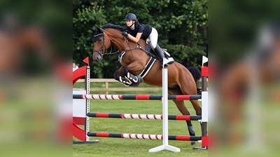 Beim Rasen-Cup 2026 des RC Weiden dreht sich am Sonntag, 13. September, auf der Reitanlage am Schwedentisch alles um spannende Springprüfungen, fairen Pferdesport und gute Stimmung. (Bild: Roland Boost)