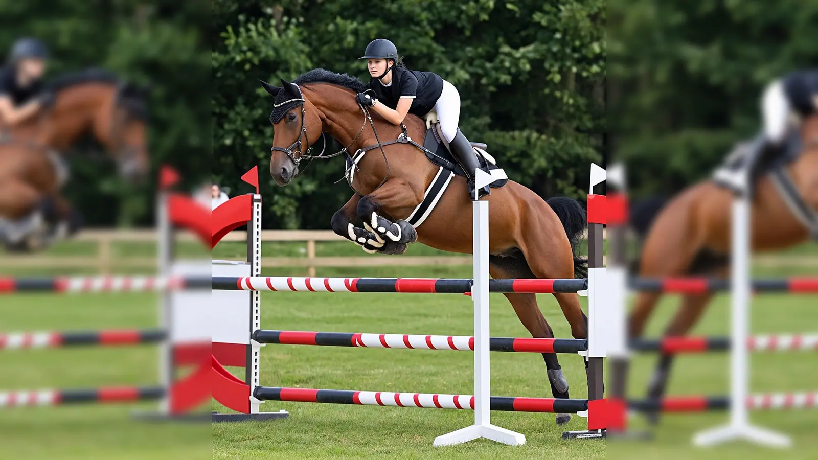 Beim Rasen-Cup 2026 des RC Weiden dreht sich am Sonntag, 13. September, auf der Reitanlage am Schwedentisch alles um spannende Springprüfungen, fairen Pferdesport und gute Stimmung. (Bild: Roland Boost)