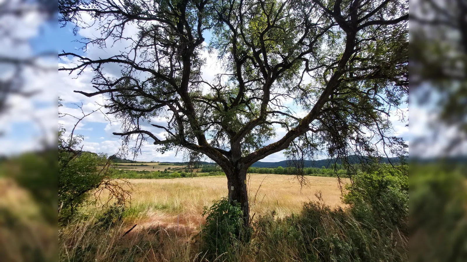 Jubiläumstour (Bild: Jonas Nelhiebel)