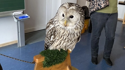 Neugierig blickte Birte in die Runde (Bild: Sigrid Reger-Scharf)