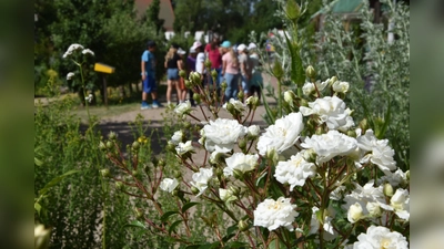Vorlesestunde im Kloster- und Naturerlebnisgarten. (Bild: Sandra Scherbl)