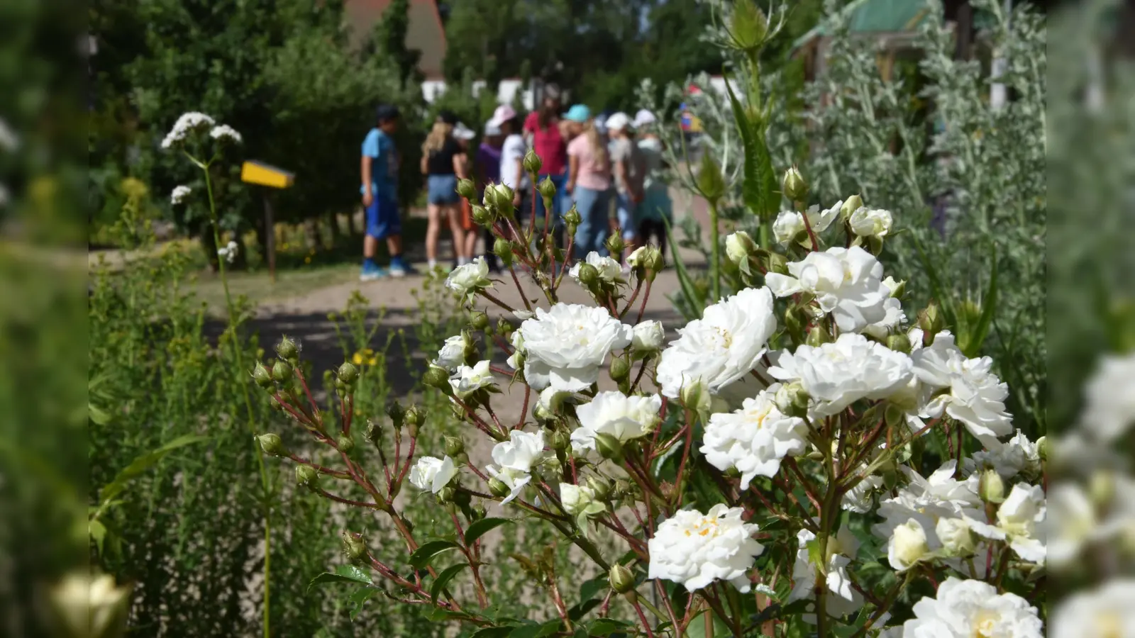 Vorlesestunde im Kloster- und Naturerlebnisgarten. (Bild: Sandra Scherbl)