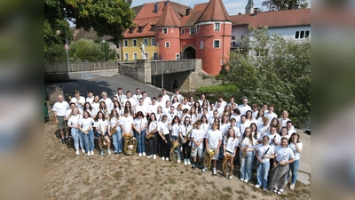 Gruppenfoto des Bezirksjugendorchester Oberpfalz. (Bild: Cornelia Roider)