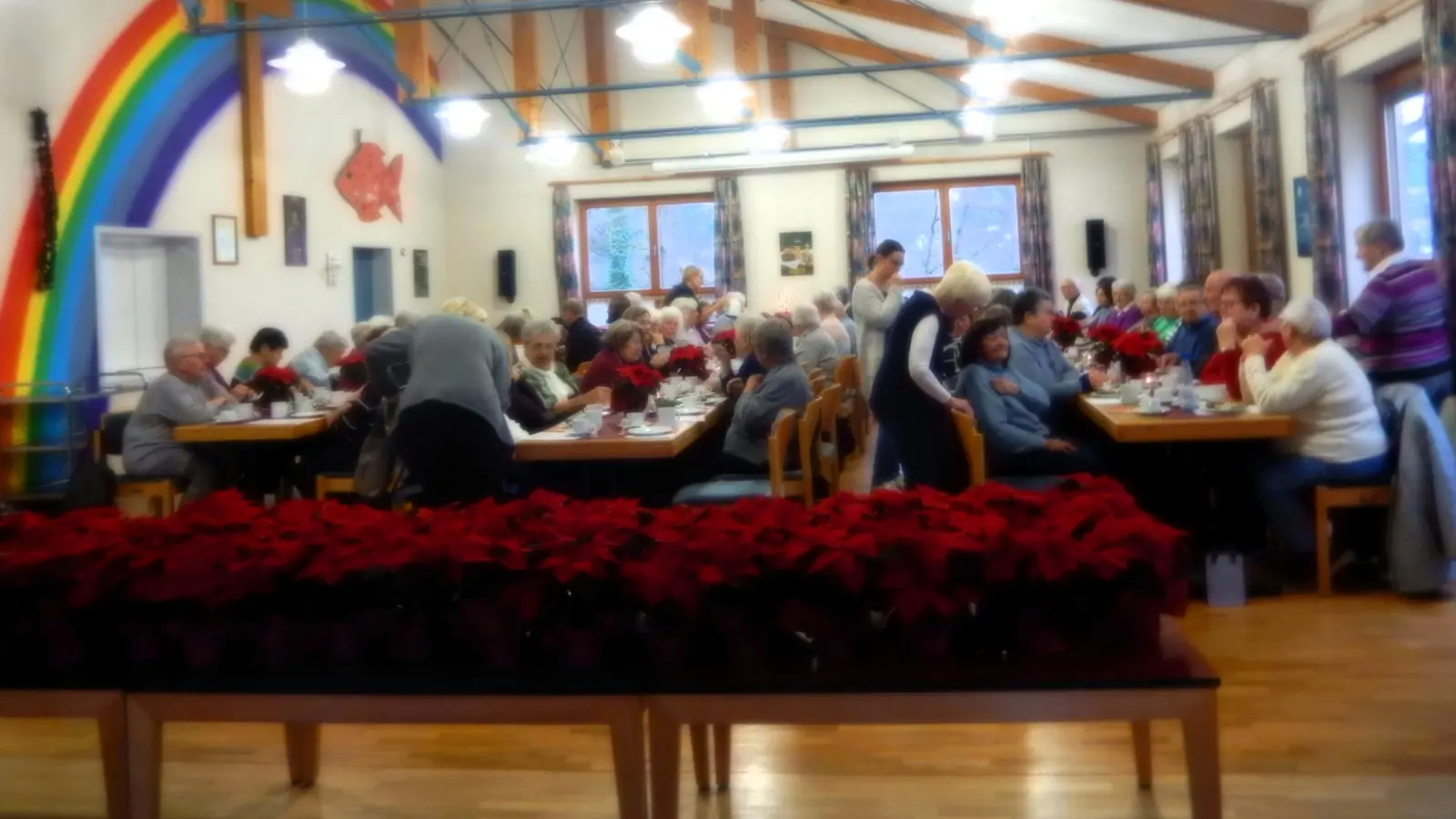 Adventfeier bei der Seniorengruppe, bis auf den letzten Platz besetzt, Weihnachtssterne als Geschenk. (Bild: Anneliese Fiedler)