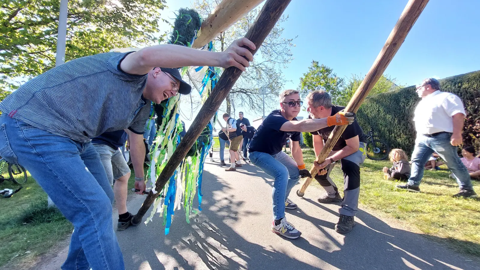 Kräftige Männer hievten am Freitagnachmittag den mächtigen Maibaum mit Hilfe von Schwalben hoch.  (Bild: Helmut Kunz)